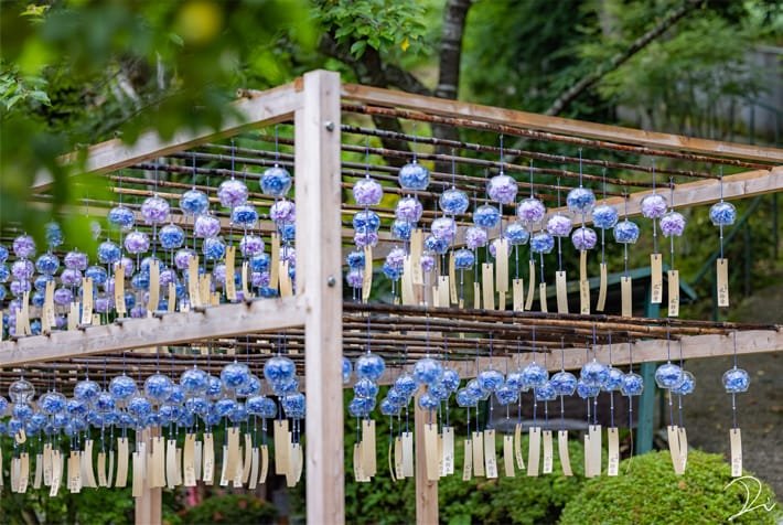 卍 제62번 찰소 보수사 (호주지) 이미지 5